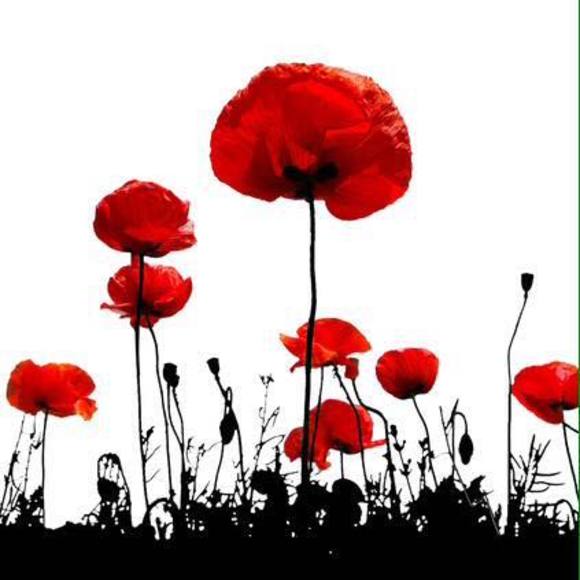 Meet your Posher, Angela - Picture 1 of 1